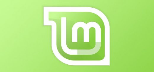 Linux Mint 19.1