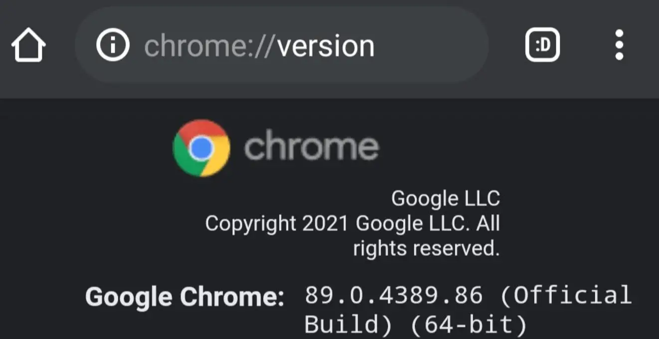 portable google chrome 64 bit