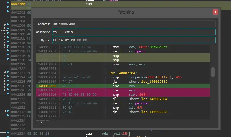 Interactive Binary Patching