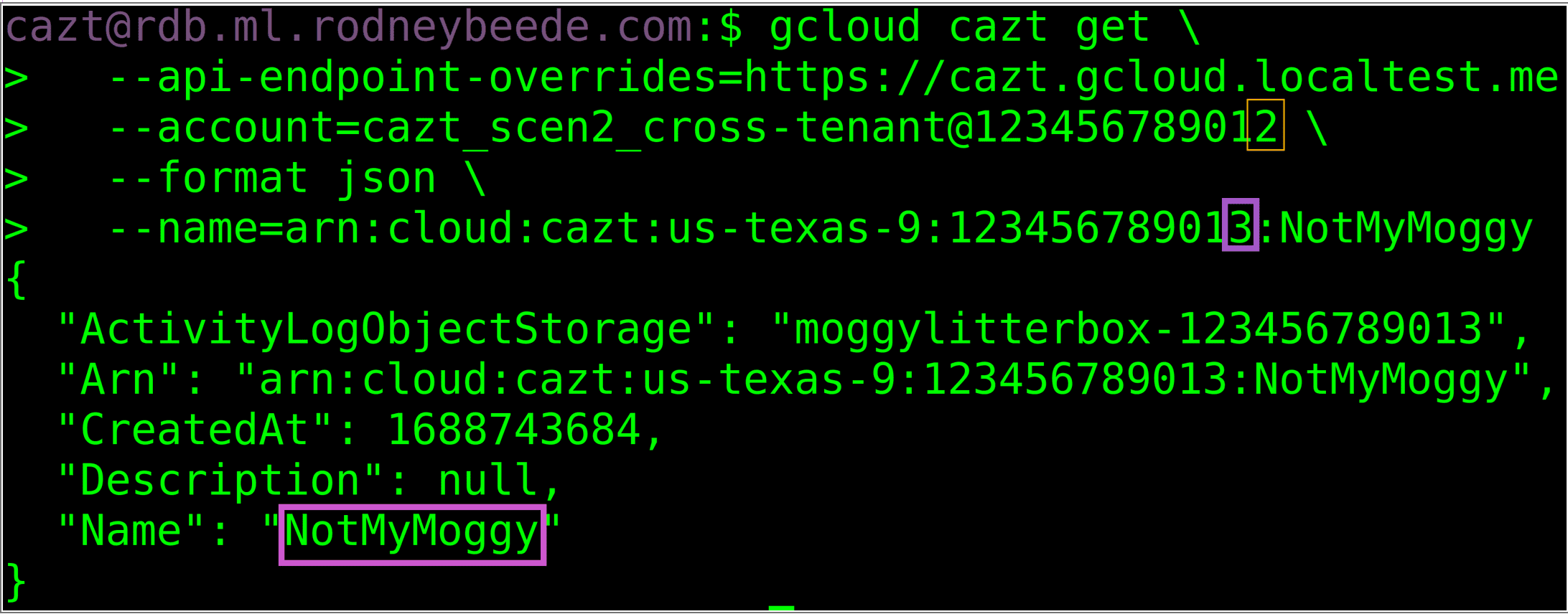 Cloud AuthoriZation Trainer: A simulator of cloud-provider responsible REST APIs
