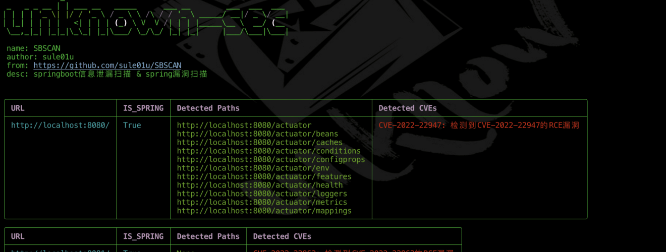 Spring framework penetration testing