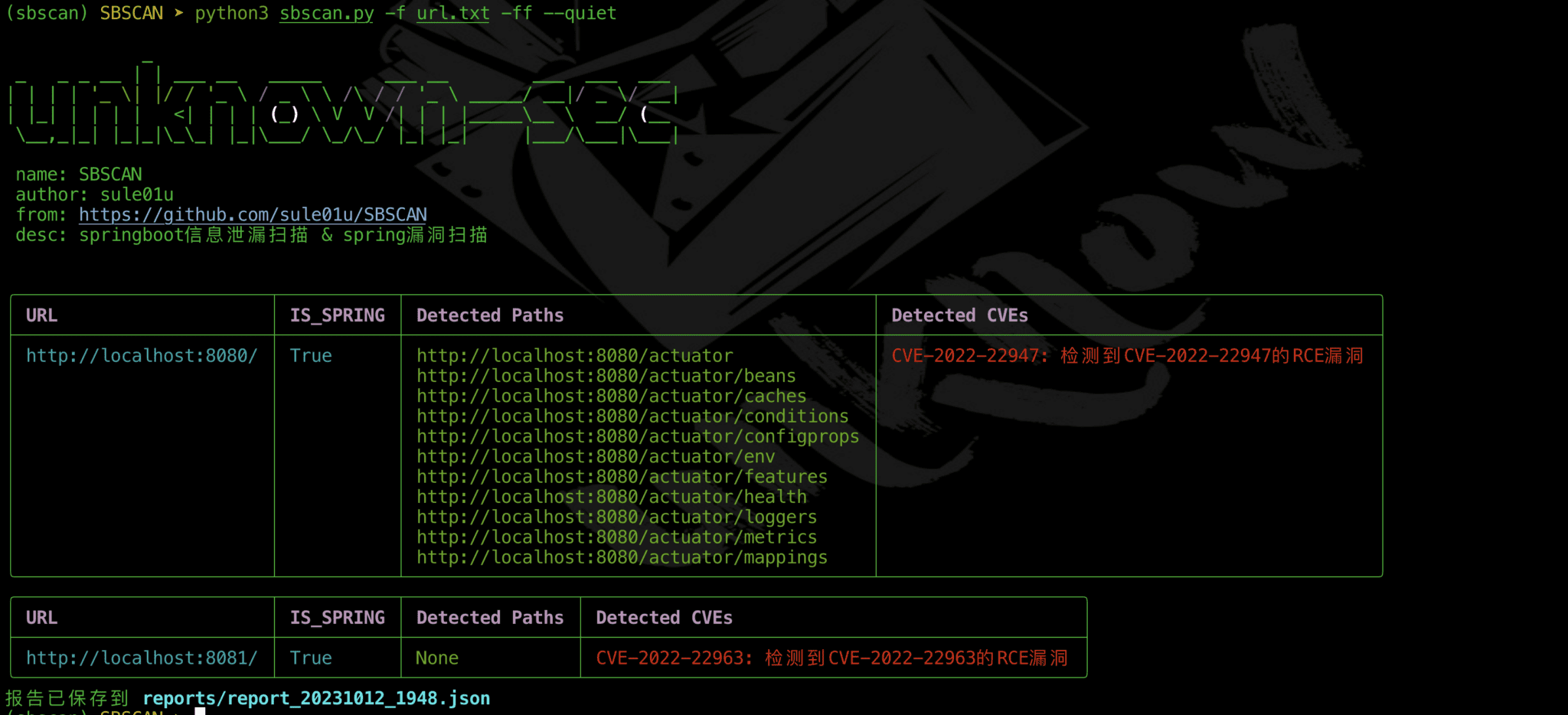 SBSCAN: penetration testing tool specifically designed for the Spring framework