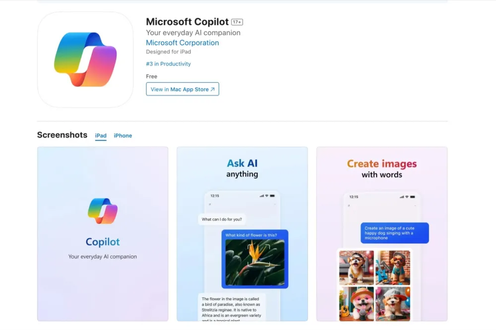 Microsoft Copilot iOS