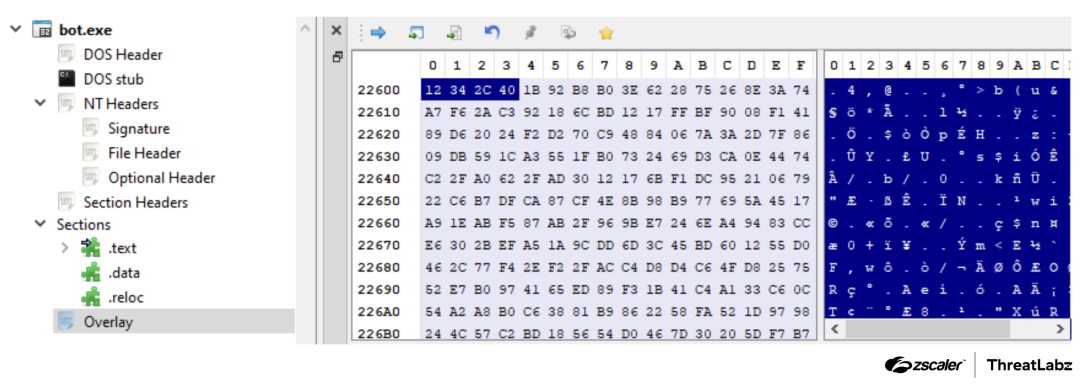 ZLoader Anti-Analysis Feature