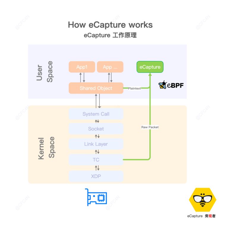 capture SSL/TLS