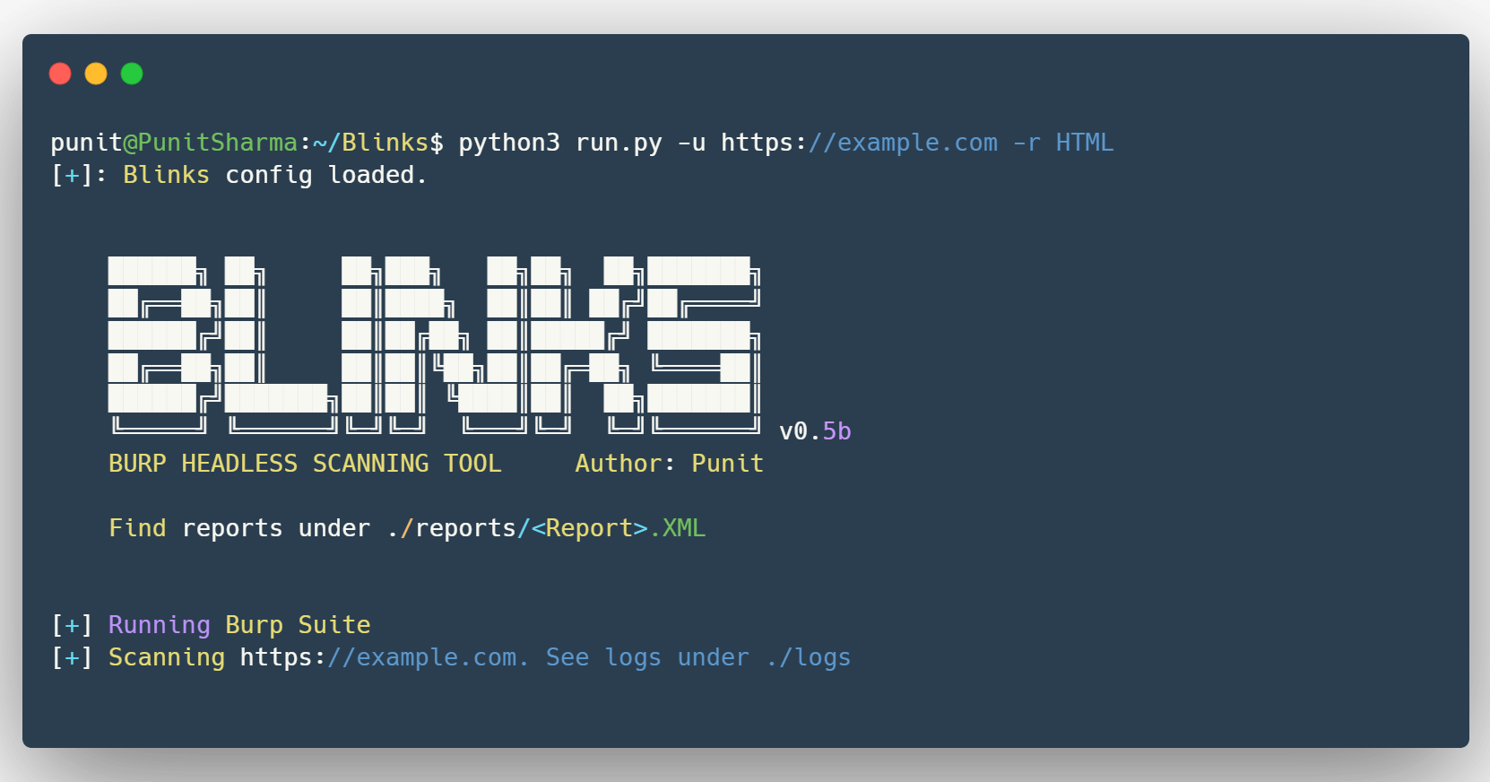 Blinks: Streamline Security Testing, Automate Burp Suite Pro Scans