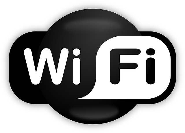 wireless hacking WhoFi