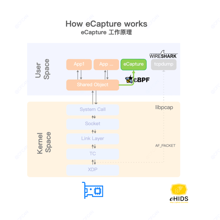 capture SSL/TLS