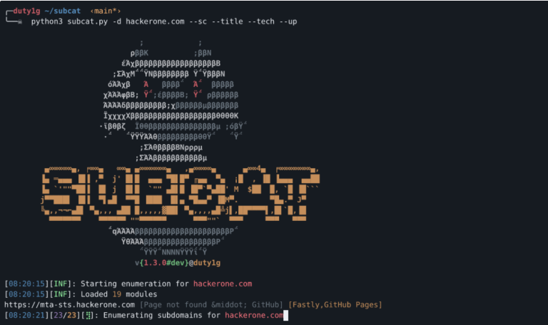 Subdomain Discovery