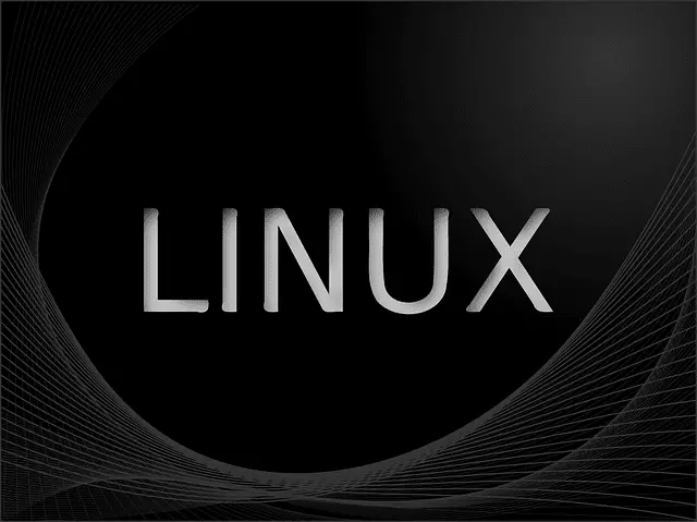 Linux Graphics Driver, Rust
