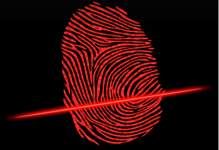 Browser Fingerprinting, Digital Surveillance