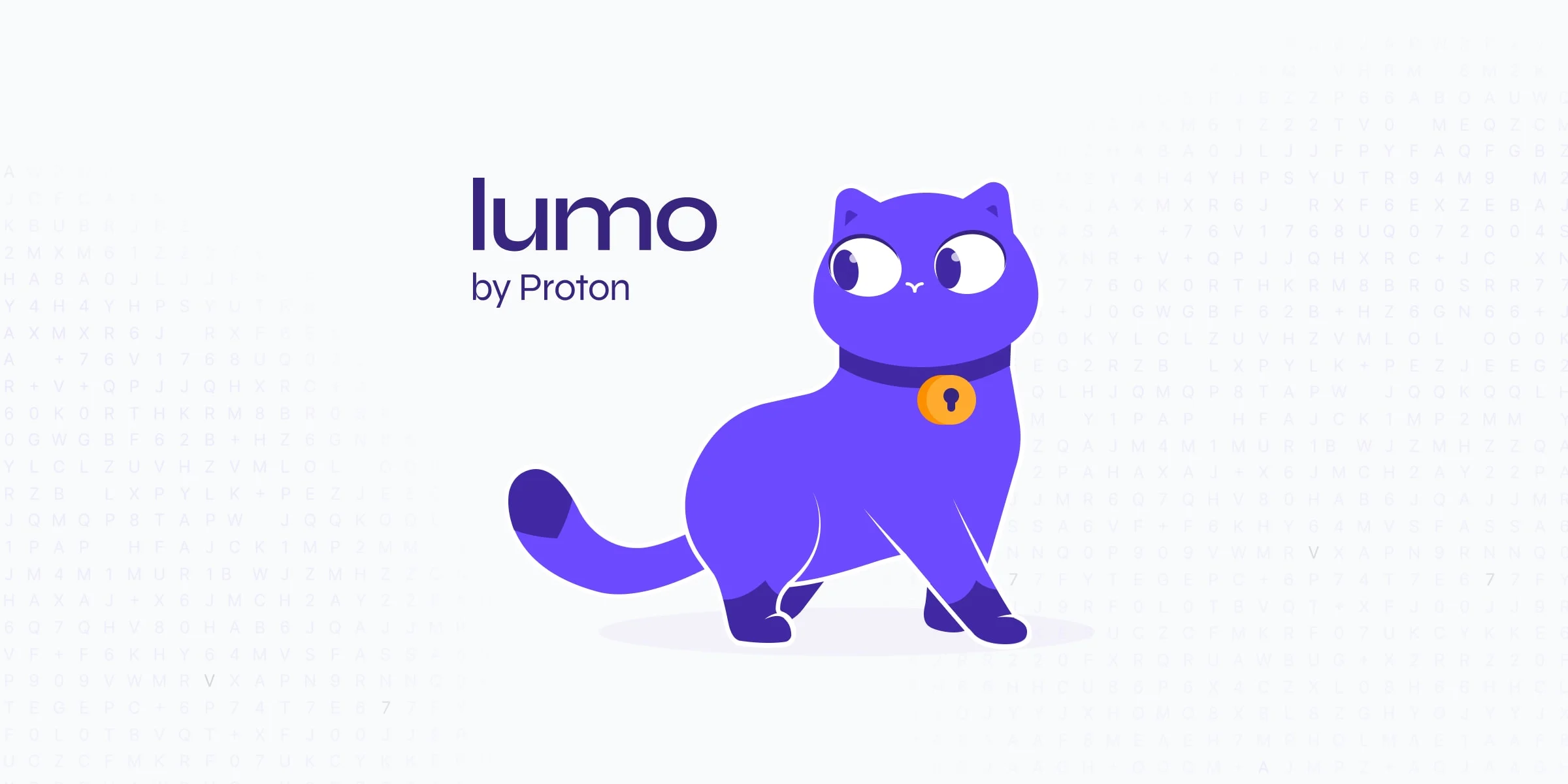 Proton AI Privacy