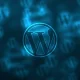 WordPress Plugin, Arbitrary File Deletion