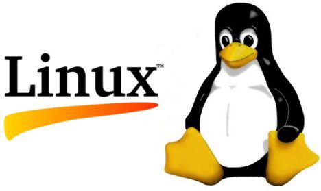 Linux Kernel Gaming Laptops