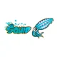 Squid Vulnerability