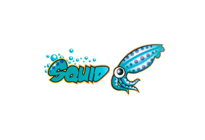 Squid Vulnerability