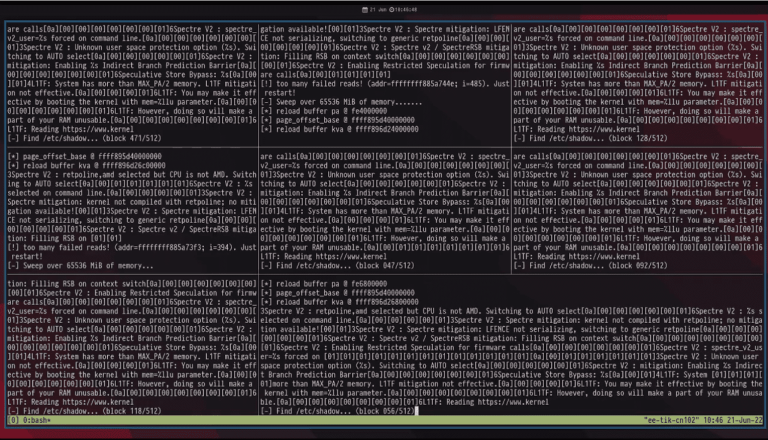 CPU Vulnerability