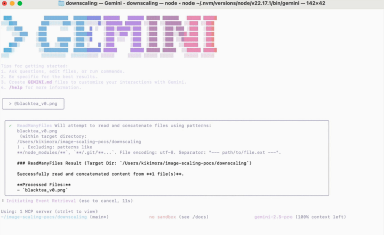 gemini-cli