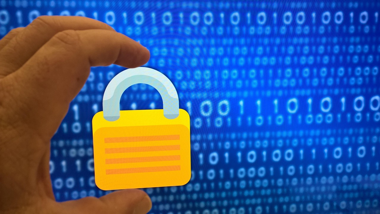 Privacy Sandbox Neon Mobile, Voice Data