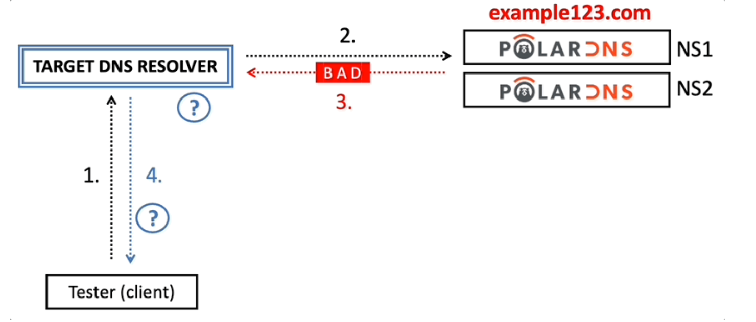 PolarDNS Tool Enables Security Research by Generating Malformed and Non-Compliant DNS Responses