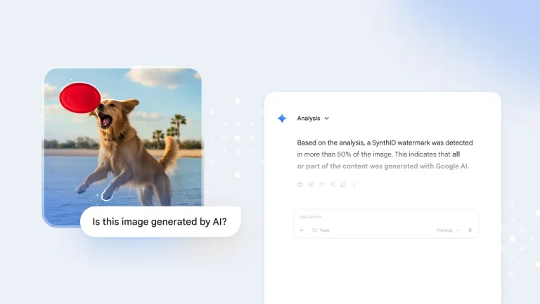 Gemini Image Verification