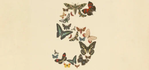 Anthropic Fable 5, Mythos 5, Anthropic security models, AI regulation