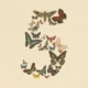 Anthropic Fable 5, Mythos 5, Anthropic security models, AI regulation