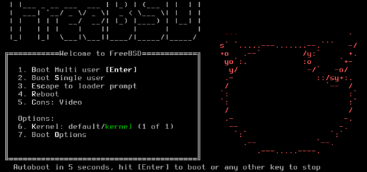 FreeBSD logo with hardware circuits illustrating OS architecture