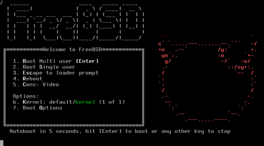 FreeBSD logo with hardware circuits illustrating OS architecture