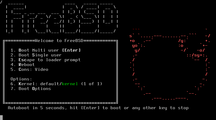 FreeBSD logo with hardware circuits illustrating OS architecture
