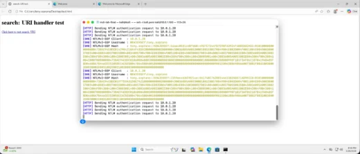 Windows search protocol leak