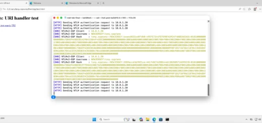 Windows search protocol leak