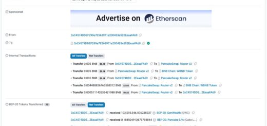 DxSale liquidity pool exploit