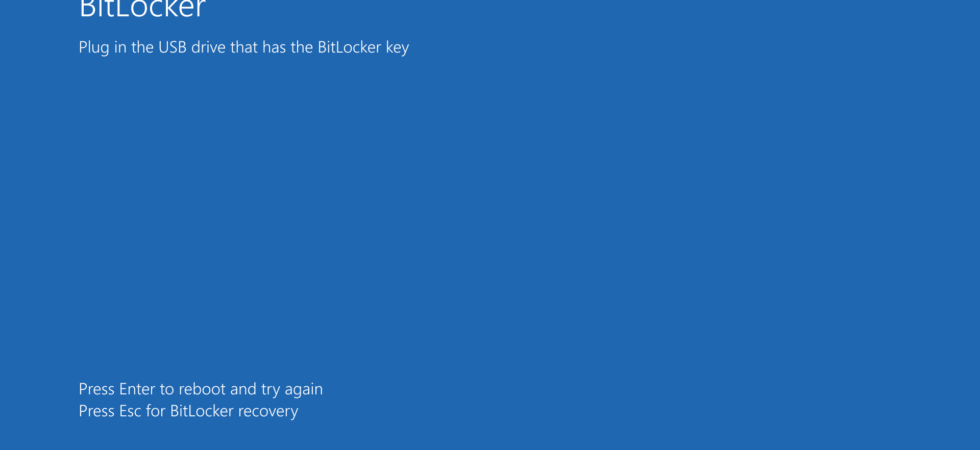 Bitskrieg vulnerability bypass