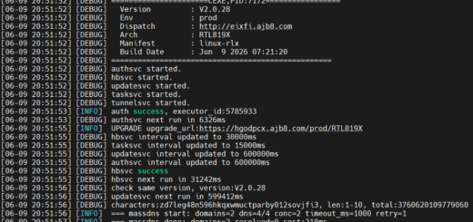 Diagram showing how the AryStinger botnet infects legacy D-Link routers