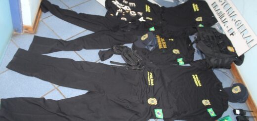 Interpol Operation First Light 2026 global fraud bust 5811 arrests 293 million dollars seized