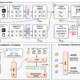 SingGuard-NSFA architecture: Ant Group's AI agent security guardrail screening tool calls for malicious intent