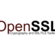 OpenSSL HollowByte memory leak vulnerability crashing Linux servers