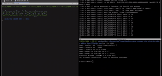 Windows Plug and Play device installation spoofing vulnerability demonstration