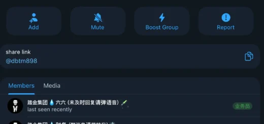Telegram cybercrime guarantee marketplace network visualization