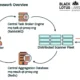 A conceptual image showing the United States Department of Justice seizing domains connected to the QTFY hacking group.