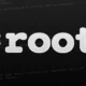 Local Linux kernel vulnerabilities diagram showing ZcopyReaper exploit
