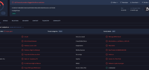 BraZetsu malware profiling a compromised computer by value to feed an underground Initial Access Broker marketplace